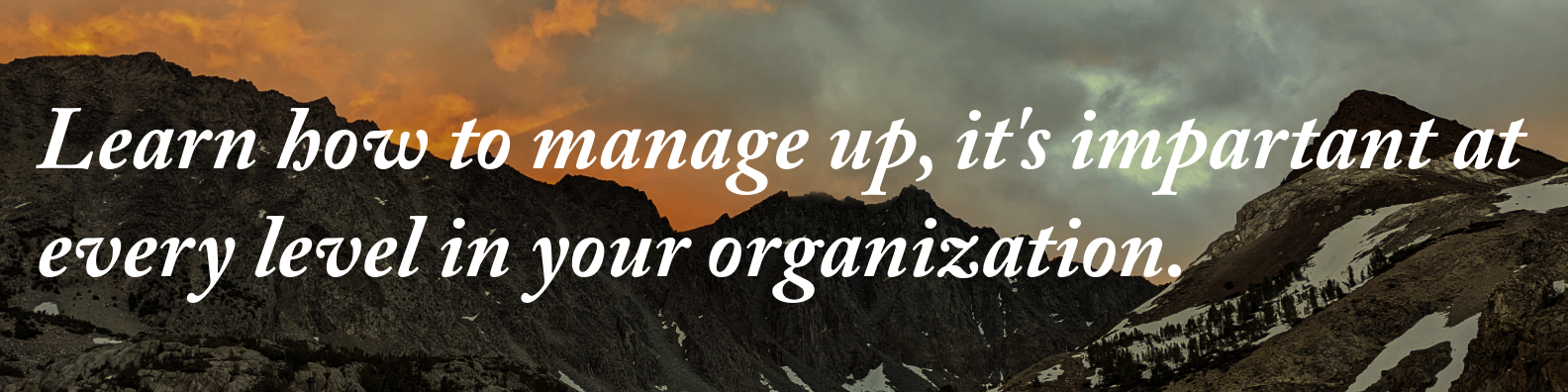 Learn how to manage up effectively graphic