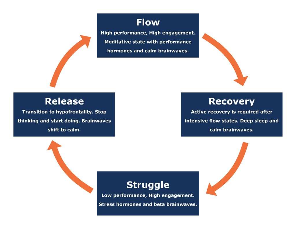 Understanding the flow cycle helps leaders create more flow in the workplace