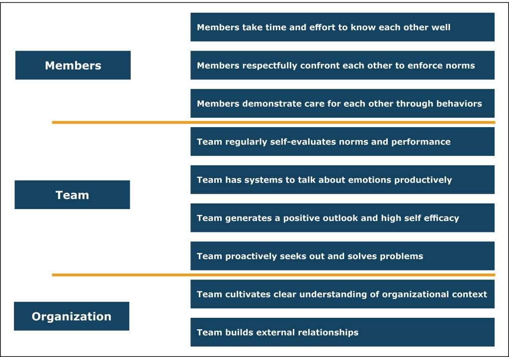 Team emotional Intelligence norms