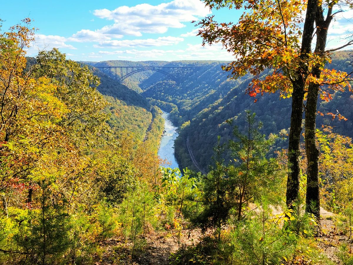 Beautiful view overlooking a river valley with a large bridge in the distance and green foliage covering the hills.