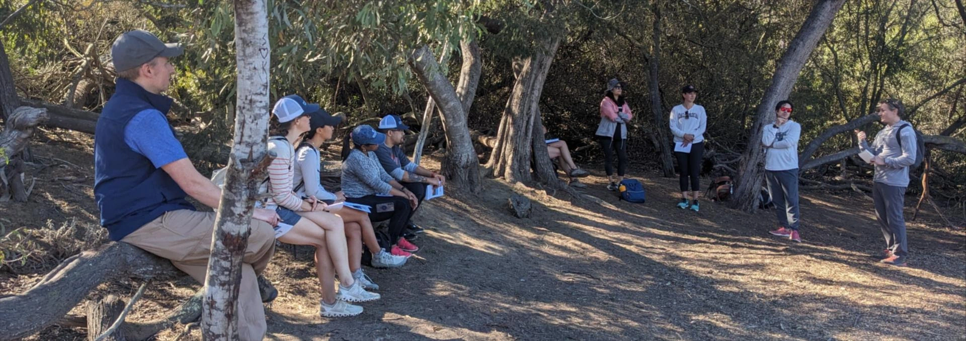 A group of executives in a shaded park discussing leadership topics.