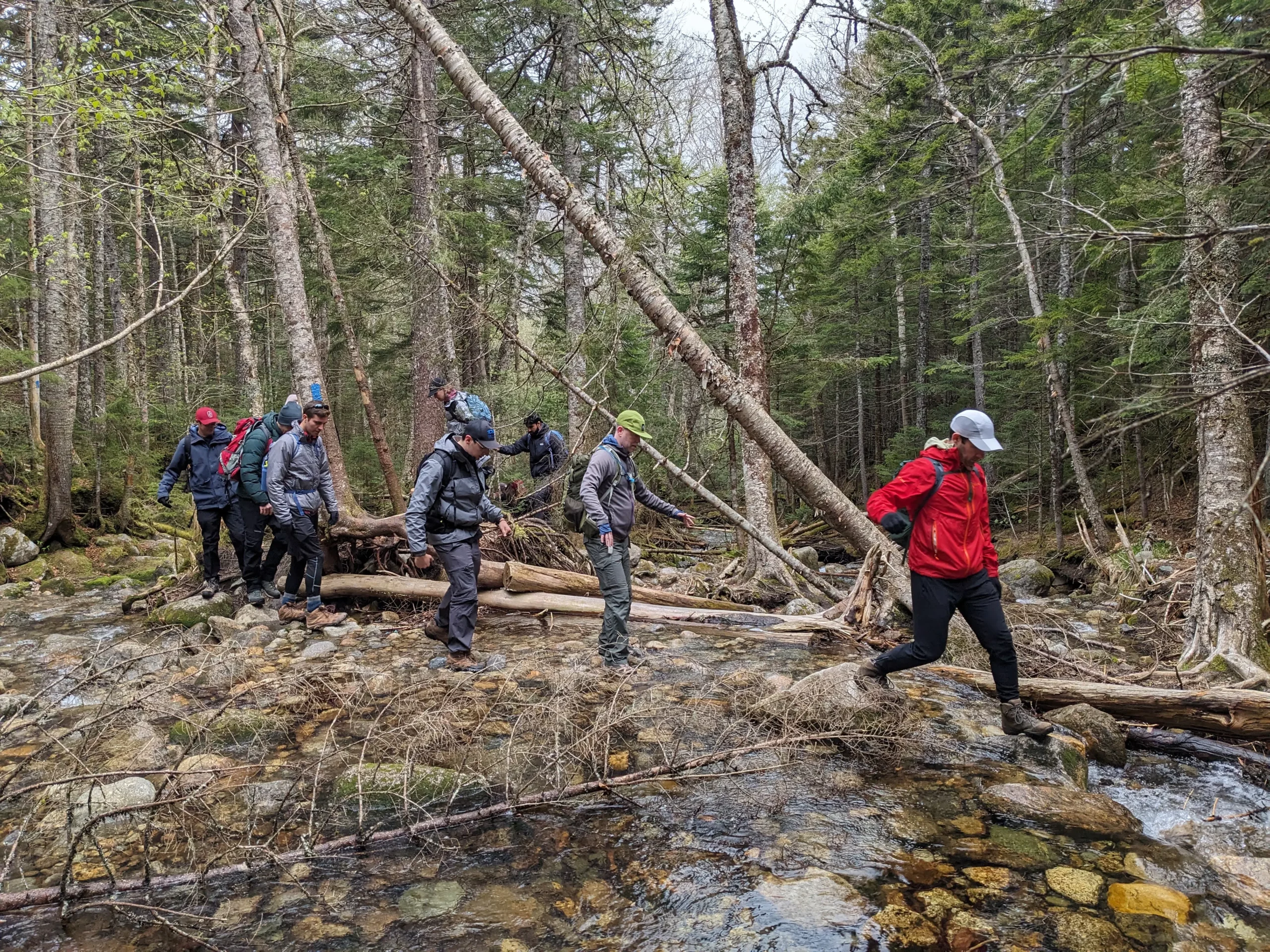A group of hikers explore creative leadership while navigating a stream in a hardwood forest