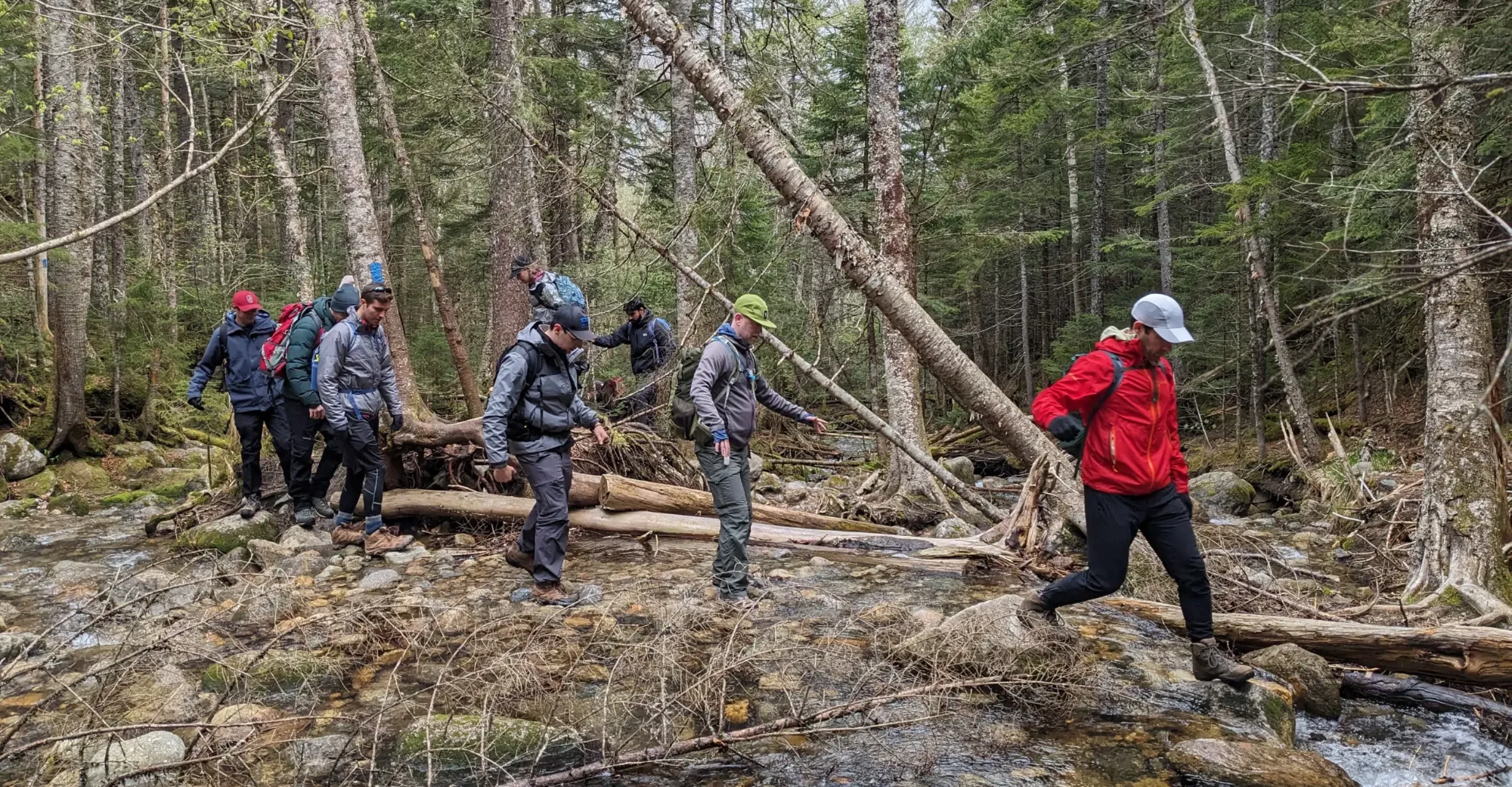 A group of hikers explore creative leadership while navigating a stream in a hardwood forest
