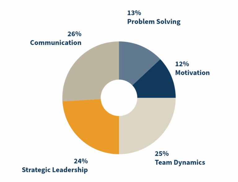 Growing organizations need skills in strategy!